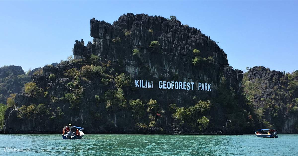 Mangrove tour langkawi